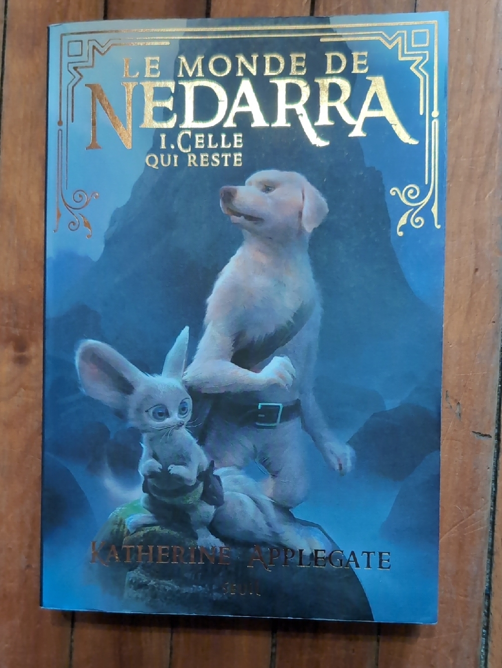 Le Monde de Nedarra I. Celle Qui Reste - Blue Cover